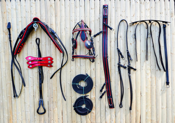 Full Size Leather Horse Driving Harness With Red Trim - Premium Quality - NewEngland Tack