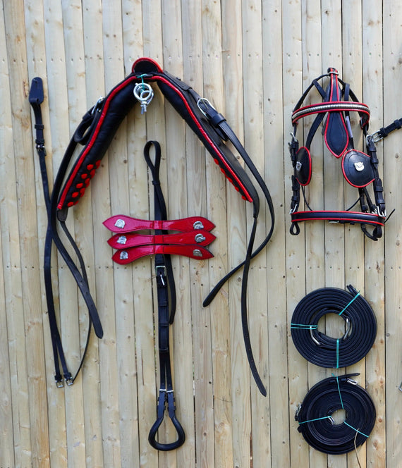 Full Size Leather Horse Driving Harness With Red Trim - Premium Quality - NewEngland Tack