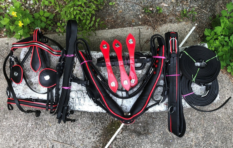 Full Size Leather Horse Driving Harness With Red Trim - Premium Quality - NewEngland Tack