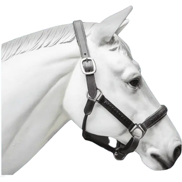 Leather Horse Halter Hand-Braided - SS Hardware NewEngland Tack