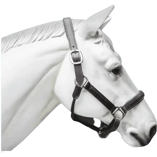Leather Horse Halter Hand-Braided - SS Hardware NewEngland Tack