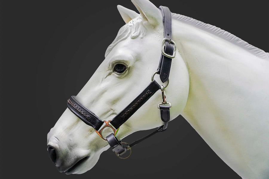 Leather Horse Halter Hand-Braided - SS Hardware - NewEngland Tack