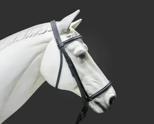 Plain Raised English Bridle - Premium Leather Quality with Stainless steel Hardware - NewEngland Tack