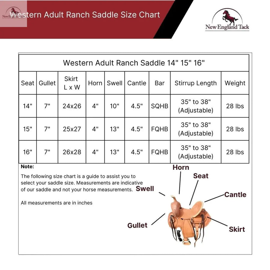 Resistance Western Border Tooled Rough Out Ranch Saddle NewEngland Tack