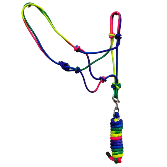 Resistance Multi Color Rope Halter with 9ft Lead Rope Full Size Rainbow Knotted Horse Halter