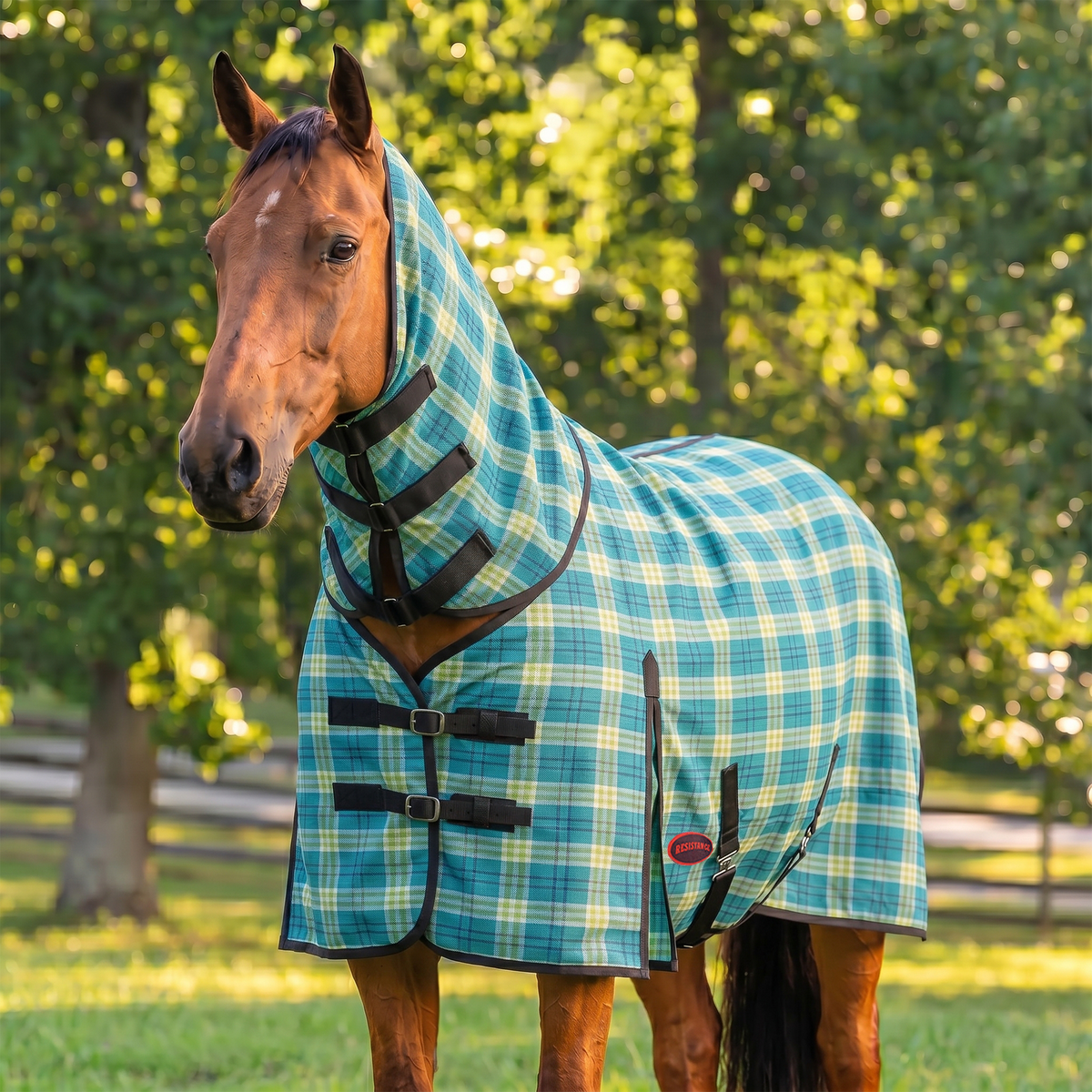 Combo Hard Mesh Fly Sheet With Neck Cover -  75% UV Protected