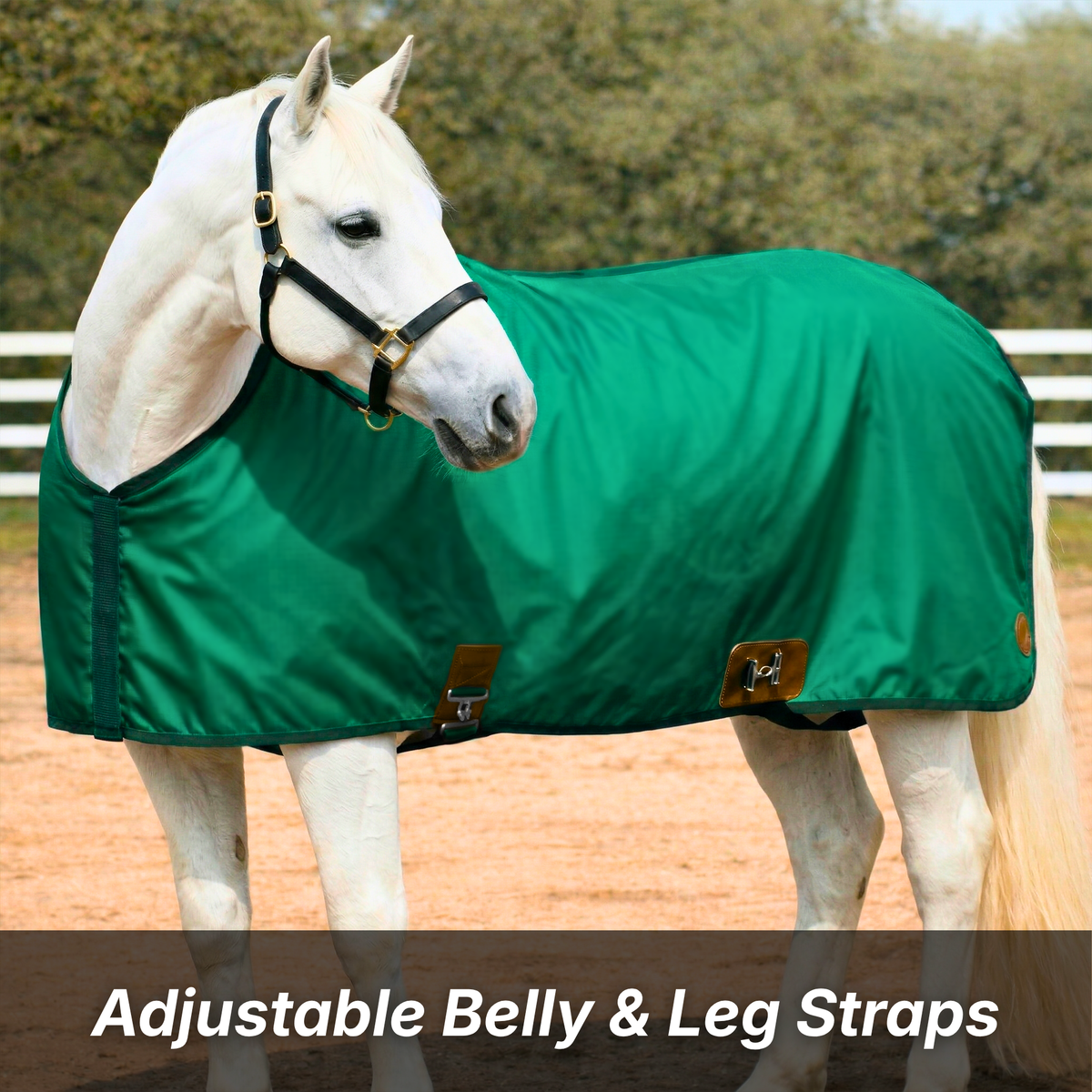 Resistance Horse Summer Sheet | Water Resistant 420D Ripstop Nylon