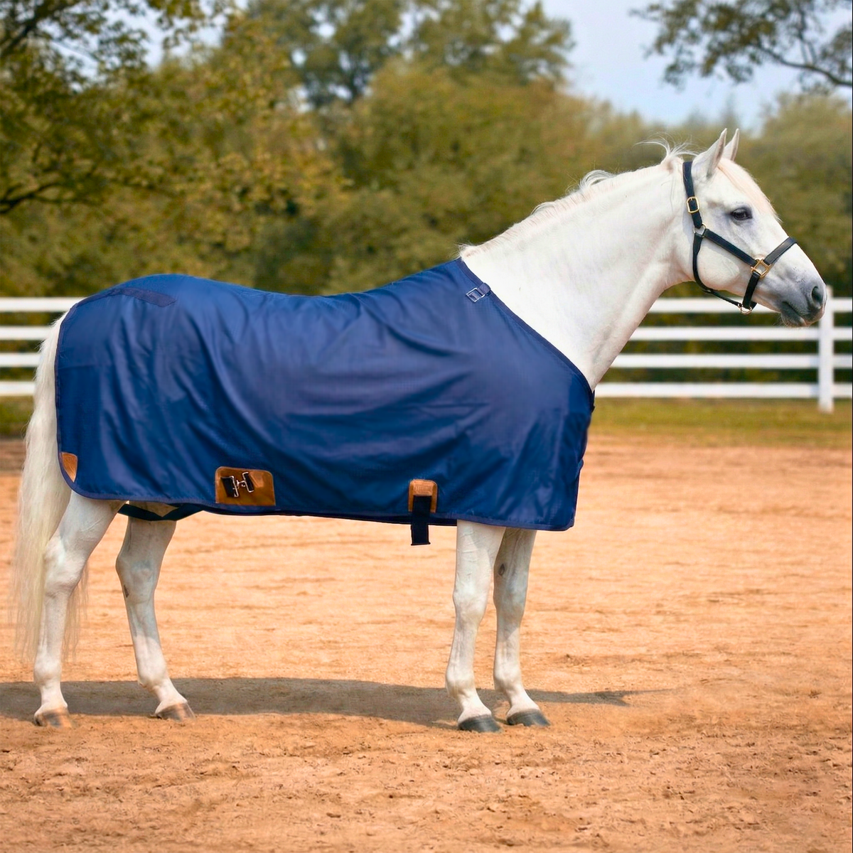 Resistance Horse Summer Sheet | Water Resistant 420D Ripstop Nylon