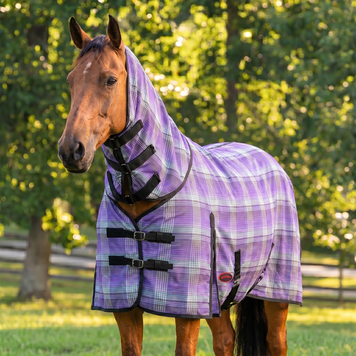 Combo Hard Mesh Fly Sheet With Neck Cover -  75% UV Protected