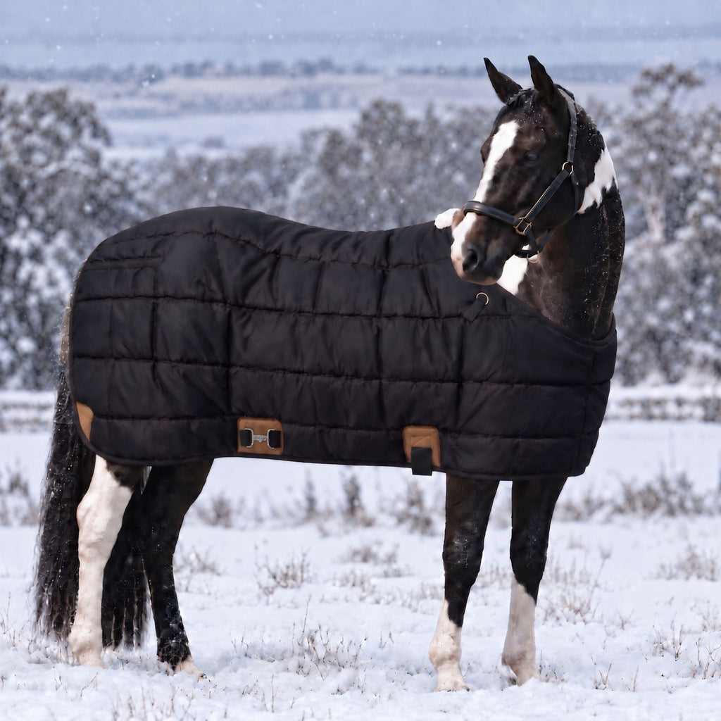 RESISTANCE 420G Heavyweight Winter Stable Blanket for Horses