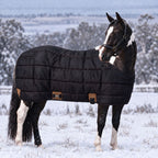 RESISTANCE 420G Heavyweight Winter Stable Blanket for Horses