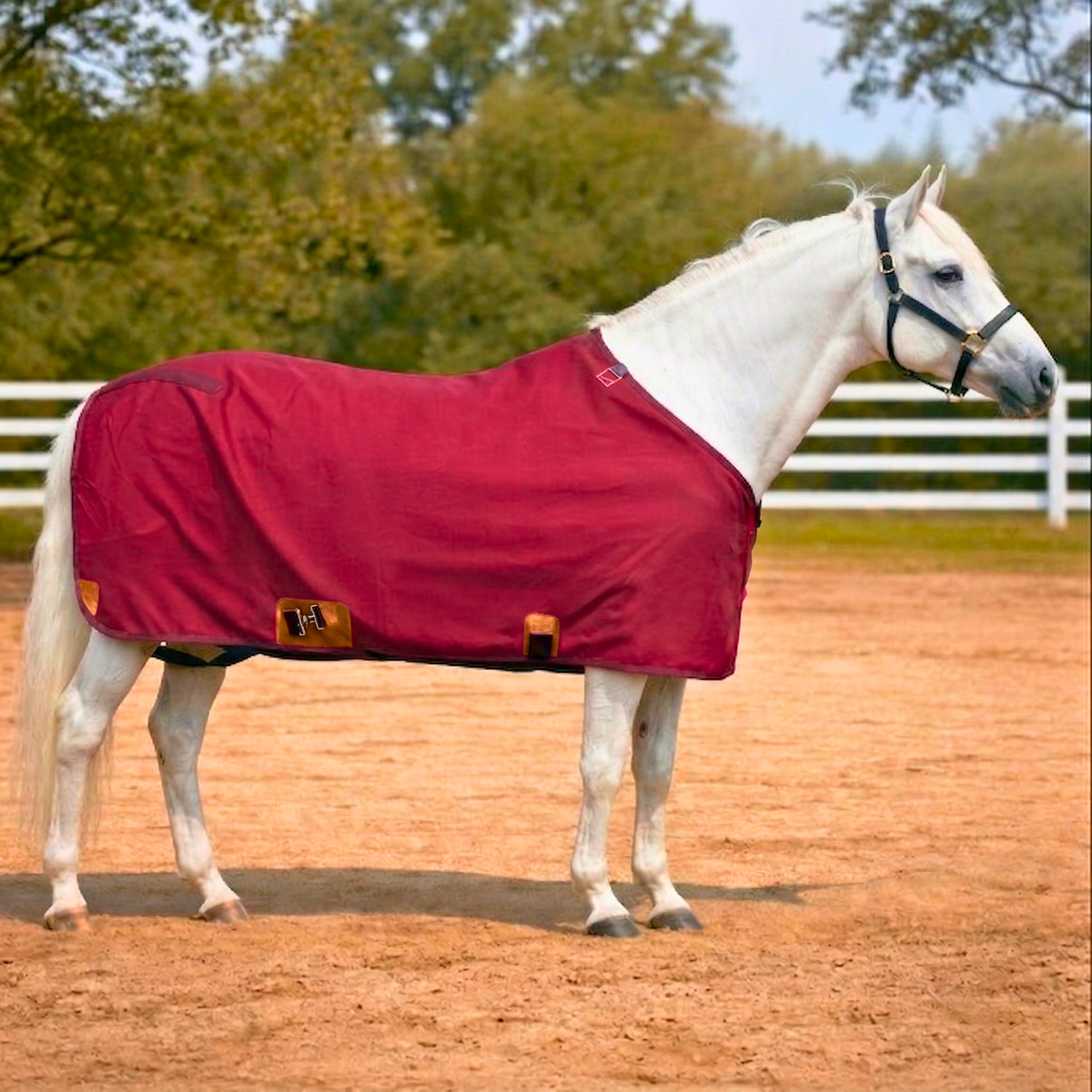 Resistance Horse Summer Sheet | Water Resistant 420D Ripstop Nylon