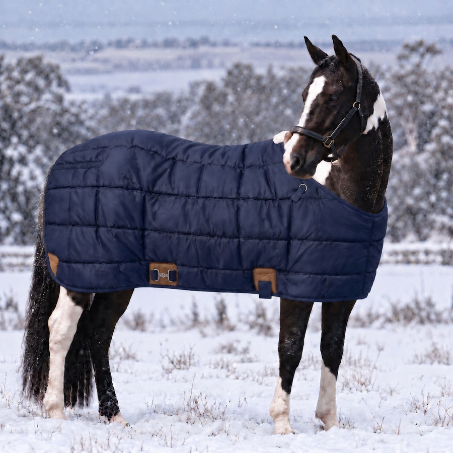 RESISTANCE 420G Heavyweight Winter Stable Blanket for Horses