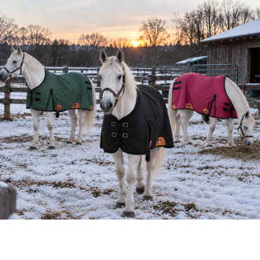 Resistance 420 Denier Water-Resistant Canvas Horse Blanket (Wool Lined)