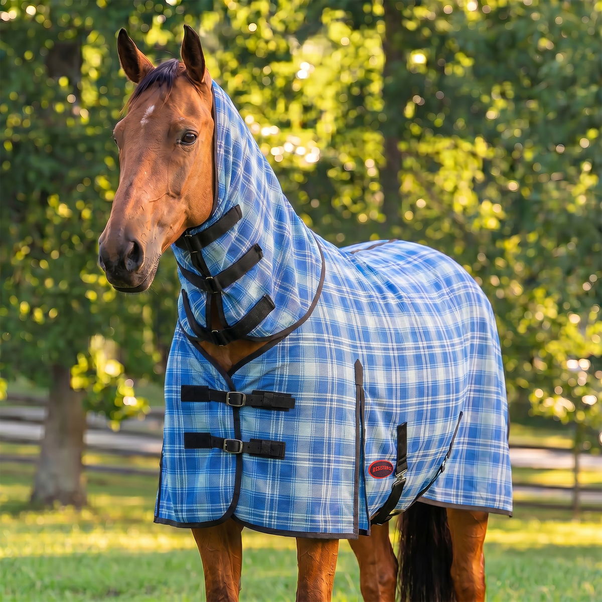 Combo Hard Mesh Fly Sheet With Neck Cover -  75% UV Protected