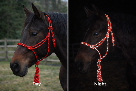 Reflective Nylon Rope Halter with 9Ft Lead | Adjustable Safety Night Glow Horse Halter