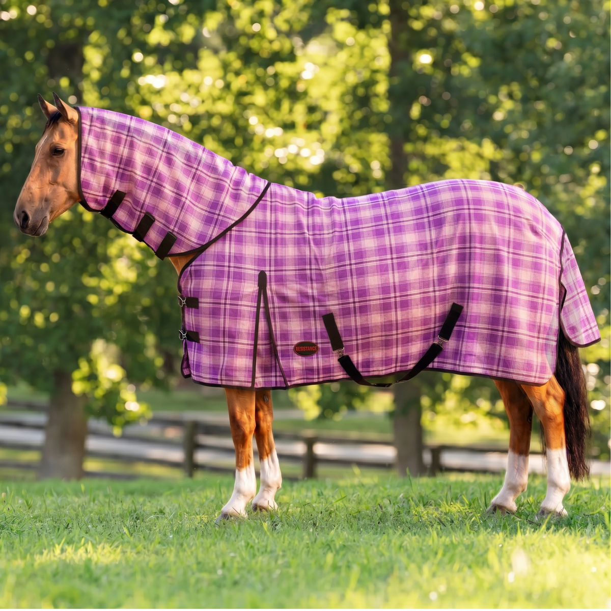 Combo Hard Mesh Fly Sheet With Neck Cover -  75% UV Protected