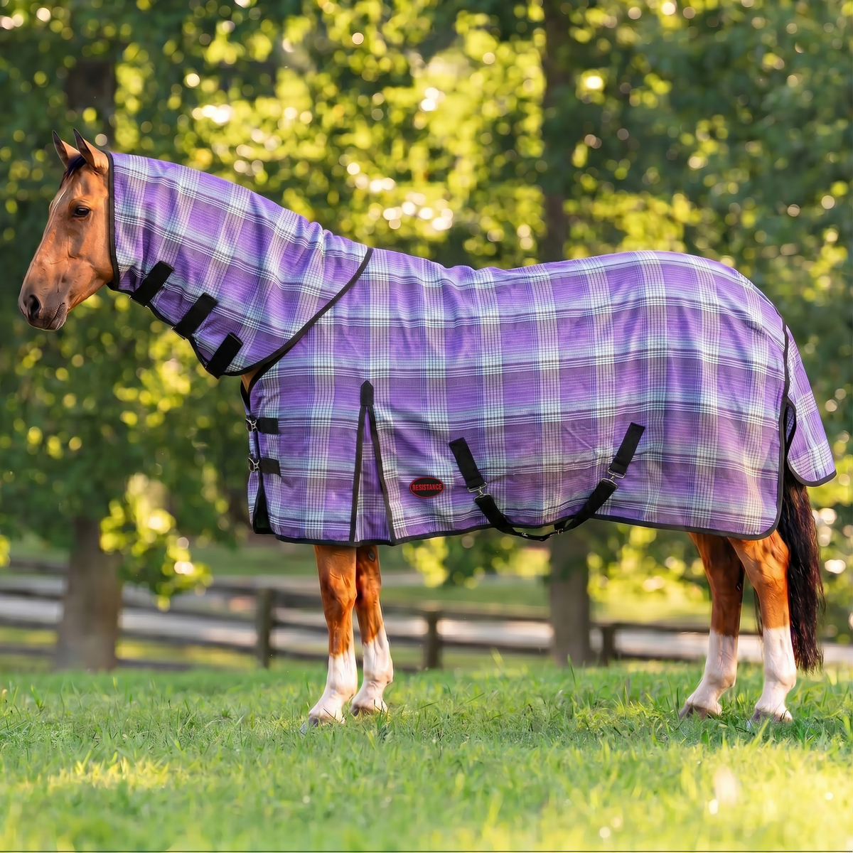 Combo Hard Mesh Fly Sheet With Neck Cover -  75% UV Protected