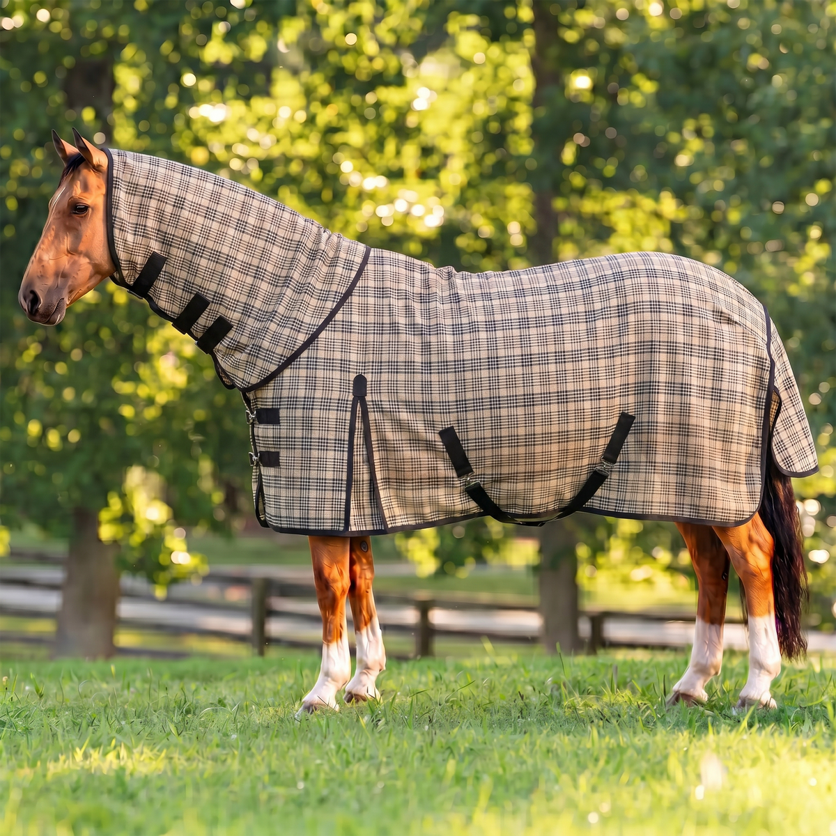 Horse Fly Sheet with Detachable Neck No Belly Wrap