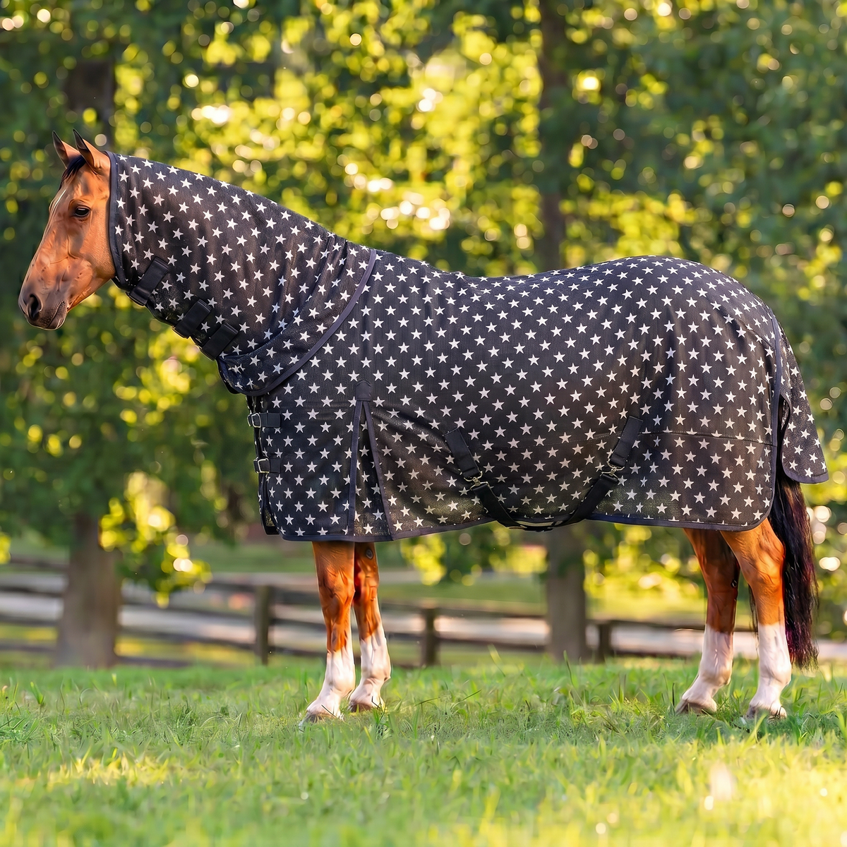 Horse Fly Sheet with Detachable Neck No Belly Wrap