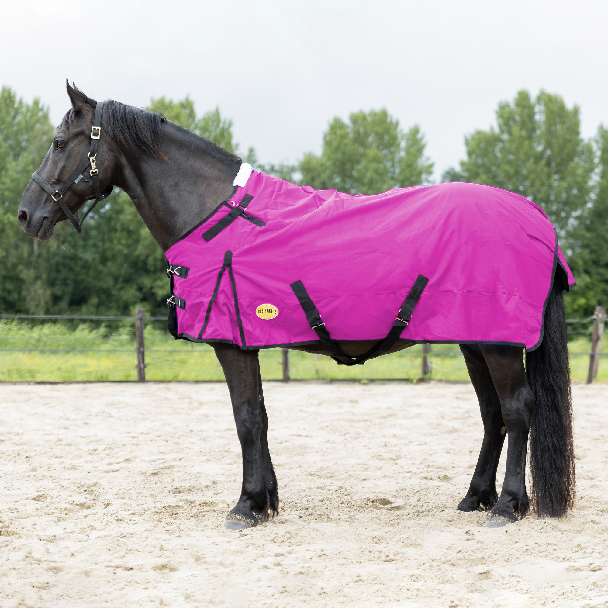 Resistance Premium 1680 Denier Waterproof Horse Turnout Blanket - 300 Grams Fill