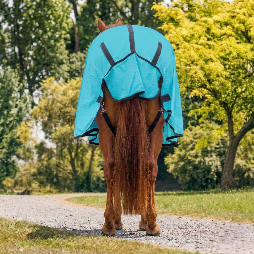 turquoise