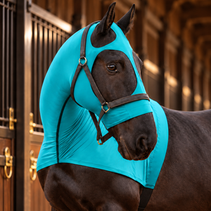 Horse Hood