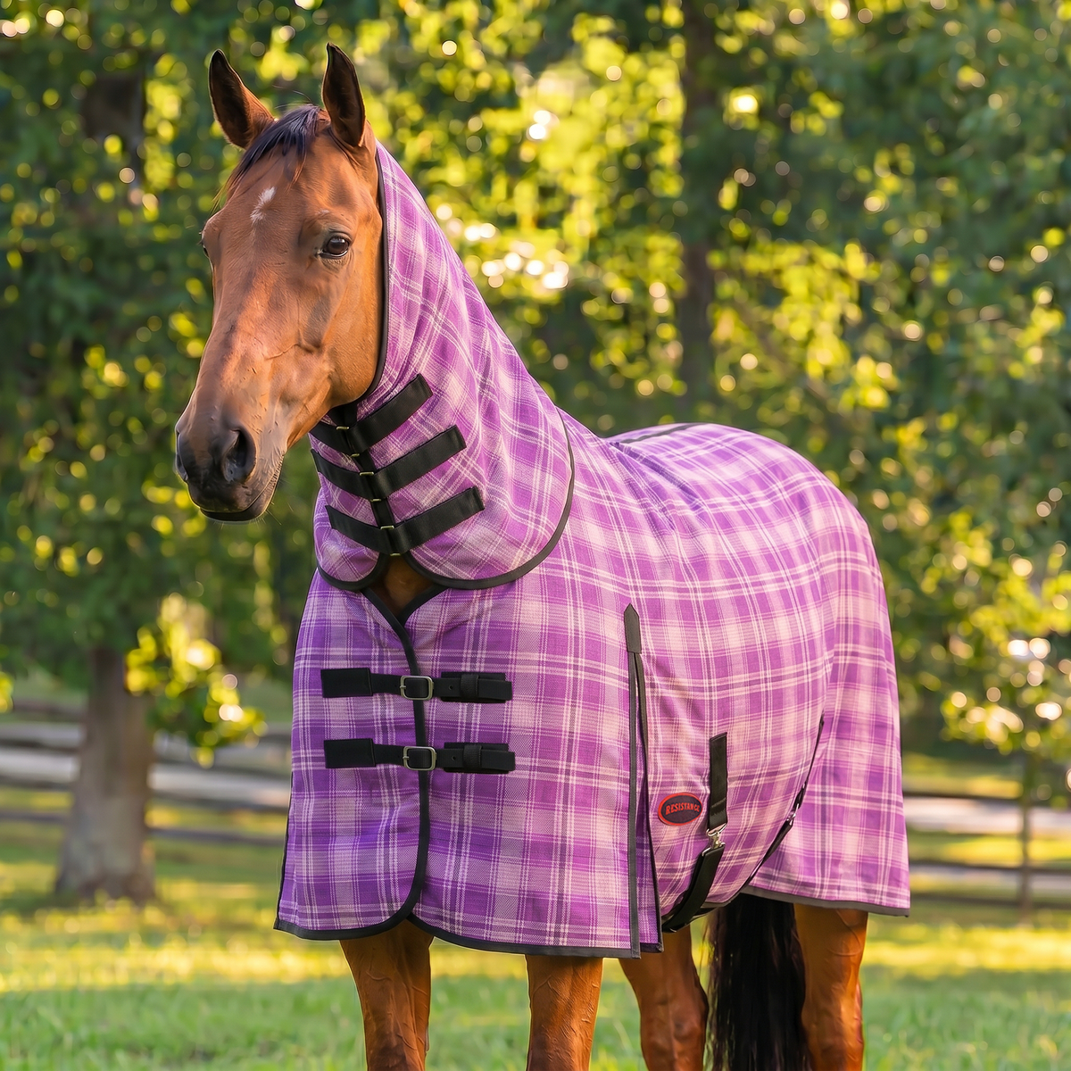 Combo Hard Mesh Fly Sheet With Neck Cover -  75% UV Protected