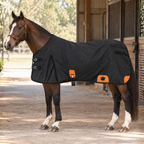 Resistance 420 Denier Water-Resistant Canvas Horse Blanket (Wool Lined)