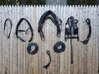 Black Full Size Horse Buffalo Leather Square Stud Browband Driving Harness Set NewEnglandTack
