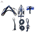 Black Horse Patent Leather Driving Harness Blue Trim Set Available In Miniature Small Pony Cob and Full Horse
