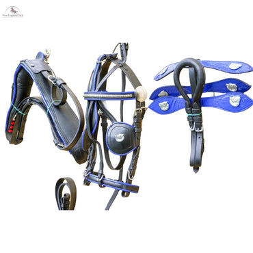 Black Horse Patent Leather Driving Harness Blue Trim Set Available In Miniature Small Pony Cob and Full Horse