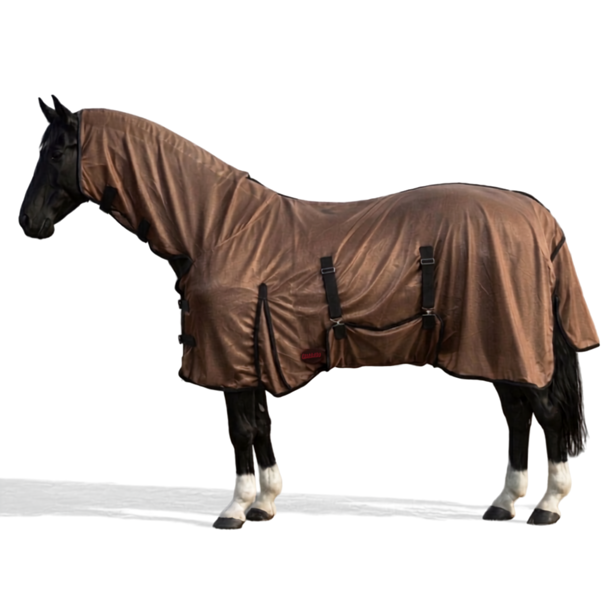 brown