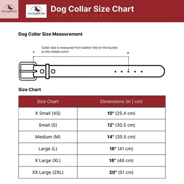 Western Leather Dog Collars NewEngland Tack