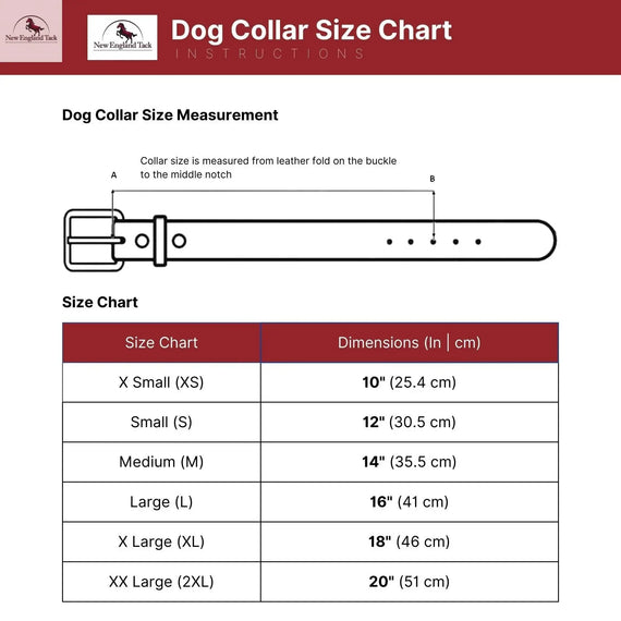 Western Leather Dog Collars NewEngland Tack
