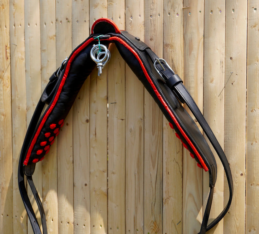 Full Size Leather Horse Driving Harness With Red Trim - Premium Quality - NewEngland Tack