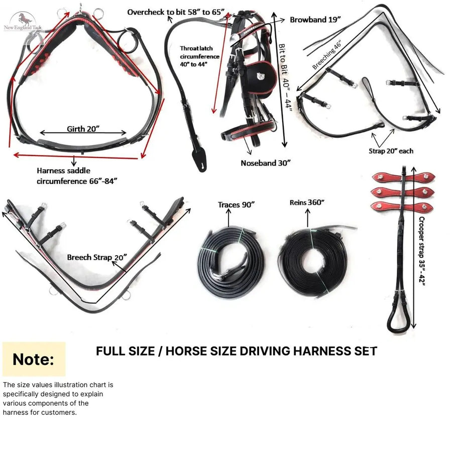 Horse Driving Harness - Leather - NewEngland Tack