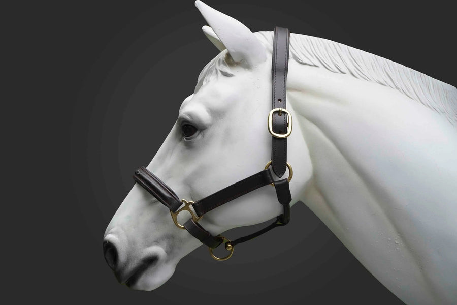 Leather Horse Halter Fancy Stitched - Brass Hardware - NewEngland Tack