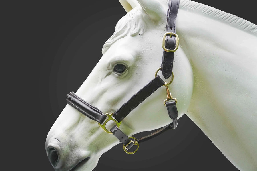 Leather Horse Halter Fancy Stitched - Brass Hardware - NewEngland Tack