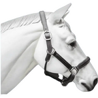 Leather Horse Halter Hand-Braided - SS Hardware NewEngland Tack
