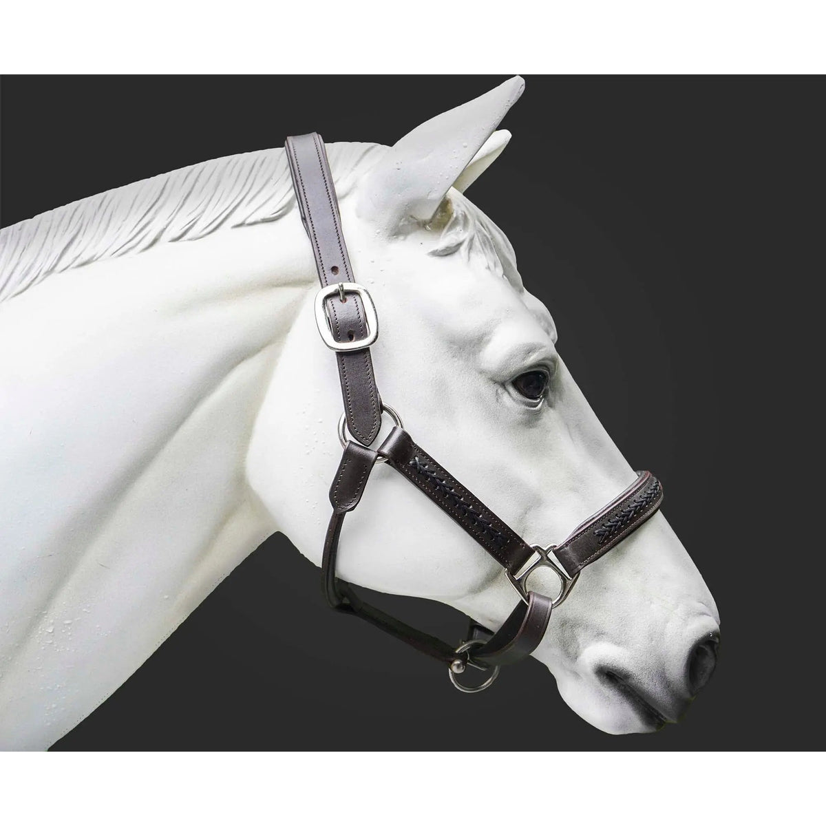 Leather Horse Halter Hand-Braided - SS Hardware - NewEngland Tack