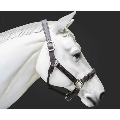 Leather Horse Halter Hand-Braided - SS Hardware - NewEngland Tack
