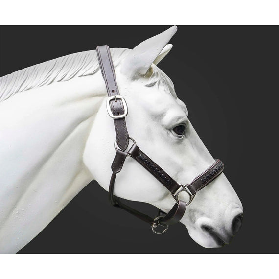 Leather Horse Halter Hand-Braided - SS Hardware NewEngland Tack