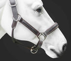 Leather Horse Halter Hand-Braided - SS Hardware - NewEngland Tack