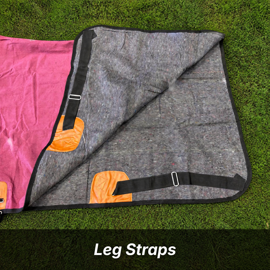 Resistance 420 Denier Water-Resistant Canvas Horse Blanket (Wool Lined)