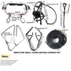 Miniature Horse Black Patent Leather Driving Harness with Red and White Trim NewEngland Tack