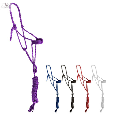 Mule Tape Halter with 10ft Lead NewEngland Tack