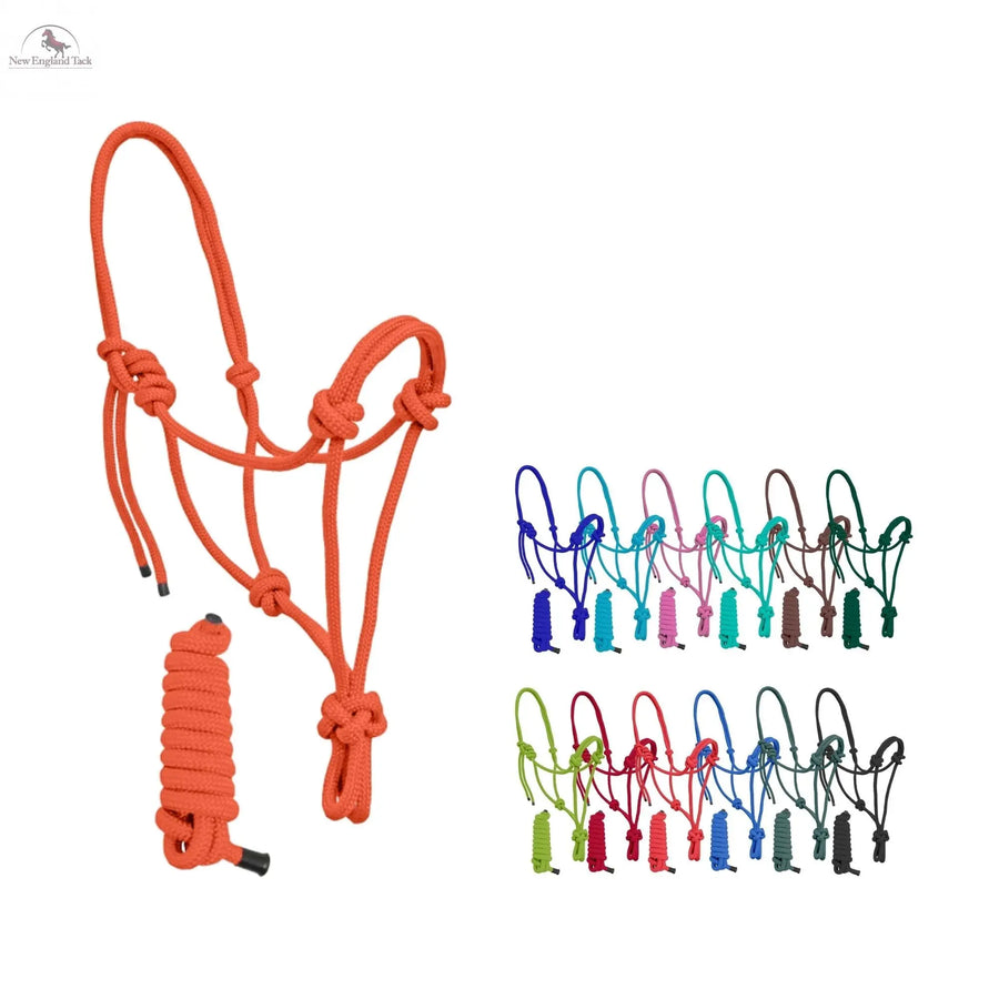 Nylon Adjustable Rope Halter with 6Ft Lead NewEngland Tack