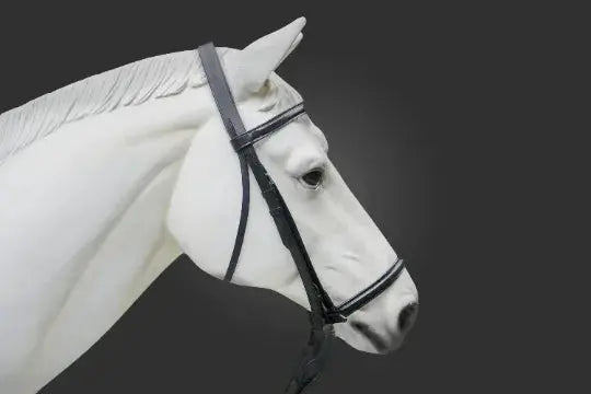 Plain Raised English Bridle - Premium Leather Quality with Stainless steel Hardware - NewEngland Tack