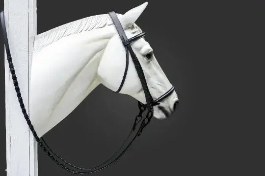 Plain Raised English Bridle - Premium Leather Quality with Stainless steel Hardware - NewEngland Tack